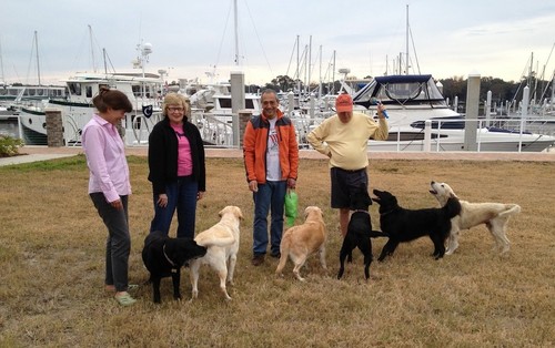 Sailing dogs and their unpaid crews ©  SW